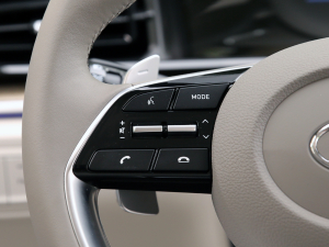 2021380TGDi TOP Premium ǐŞ п؅^