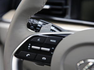 2021380TGDi TOP Premium ǐŞ п؅^