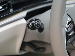 2021380TGDi TOP Premium ǐŞ п؅^