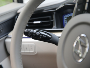 2021380TGDi TOP Premium ǐŞ п؅^