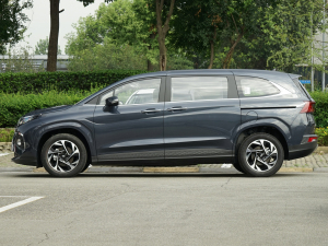 2021270TGDi LUX F ȣ