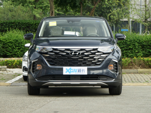 2021270TGDi LUX F ǰ