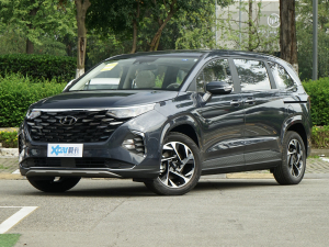 2021270TGDi LUX F ǰ45