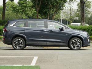 2021270TGDi LUX F ȣң