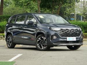 2021270TGDi LUX F ǰ45