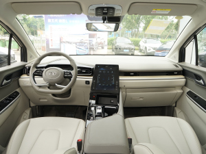 2021270TGDi LUX F ȫ