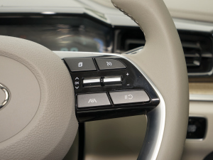 2021270TGDi LUX F п؅^