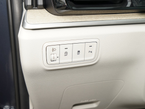 2021270TGDi LUX F п؅^