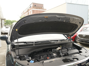 2021270TGDi LUX F lәCœ