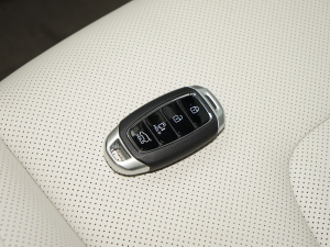 2021270TGDi LUX F ܇耳