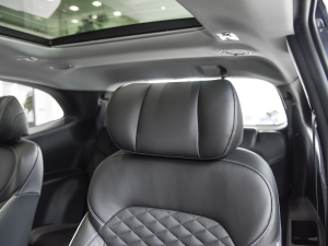 2021380TGDi  LUX Premium ǐF g