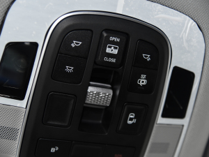 2021380TGDi  LUX Premium ǐF п؅^