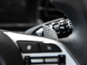 2021380TGDi  LUX Premium ǐF п؅^