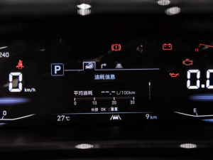 2021380TGDi  LUX Premium ǐF п؅^