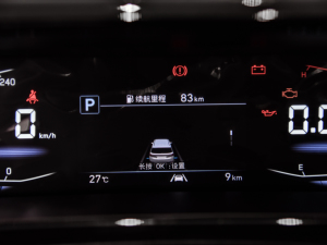 2021380TGDi  LUX Premium ǐF п؅^