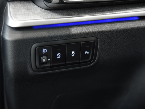 2021380TGDi  LUX Premium ǐF п؅^