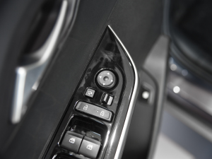 2021380TGDi  LUX Premium ǐF п؅^