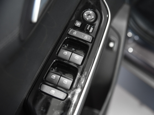 2021380TGDi  LUX Premium ǐF п؅^