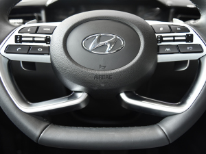 2021380TGDi  LUX Premium ǐF п؅^