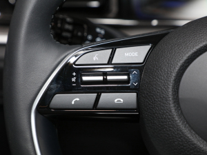 2021270TGDi GLS IȰ п؅^