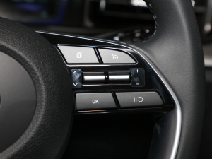 2021270TGDi GLS IȰ п؅^