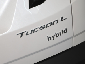 2022;L 2.0L (dng)F (x)(ji)^(gun)