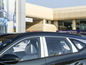 2022;L 2.0L (dng)Ş (x)(ji)^