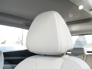 2022;L 2.0L (dng)Ş g