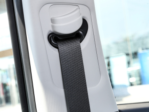 2022;L 2.0L (dng)Ş g