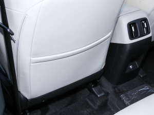 2022;L 2.0L (dng)Ş g