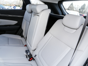 2022;L 2.0L (dng)Ş g