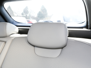 2022;L 2.0L (dng)Ş g