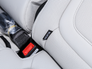 2022;L 2.0L (dng)Ş g