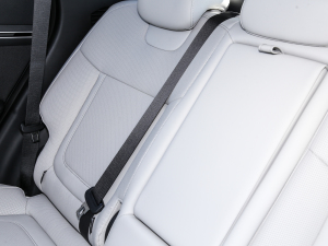 2022;L 2.0L (dng)Ş g