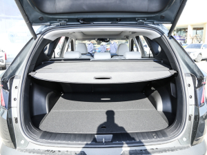 2022;L 2.0L (dng)Ş g