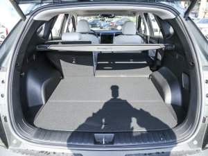 2022;L 2.0L (dng)Ş g