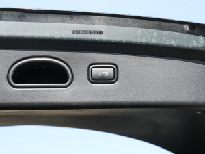 2022;L 2.0L (dng)Ş g