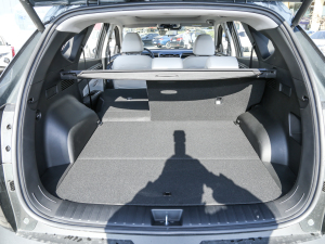 2022;L 2.0L (dng)Ş g