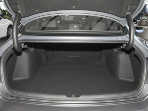 2022270TGDi DCT 20o(j) g