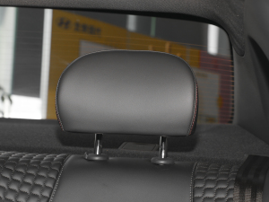 2022270TGDi DCT 20o g