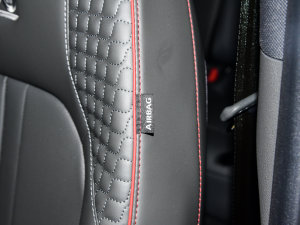 2022380TGDi Ԅ20o п؅^