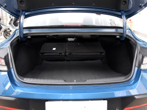 20231.5L CVT TOPŞ g