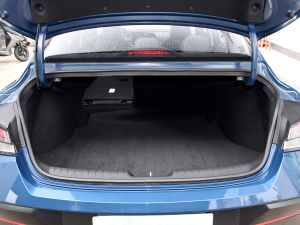 20231.5L CVT TOPŞ g