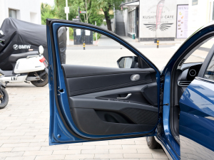 2023款1.5L CVT TOP旗舰版 驾驶位车门