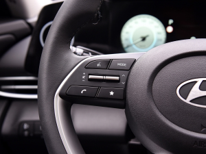 20231.5L CVT TOPŞ п؅^(q)