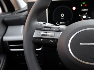 20241.5T Max п؅^(q)