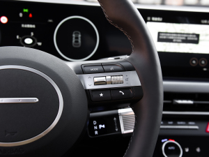 20241.5T Max п؅^(q)