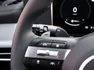 20241.5T Max п؅^(q)