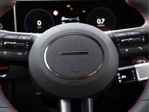 20242.0T N Line Max п؅^