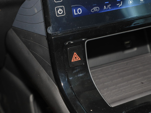 2024270 TGDi F п؅^